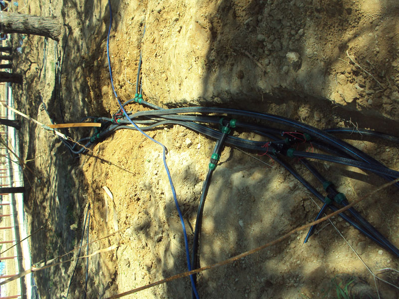 Полив участка